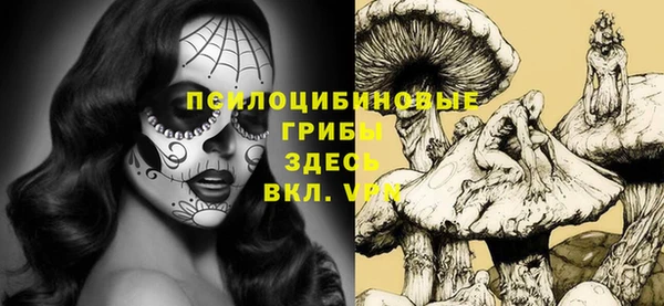 соль ск Абаза