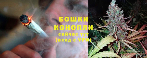 соль ск Абаза