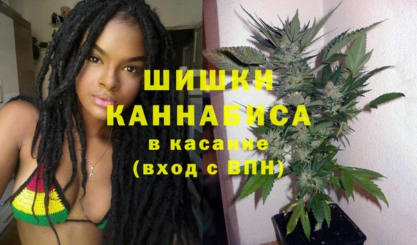 соль ск Алзамай