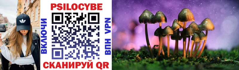 Псилоцибиновые грибы Psilocybine cubensis  Отрадная 